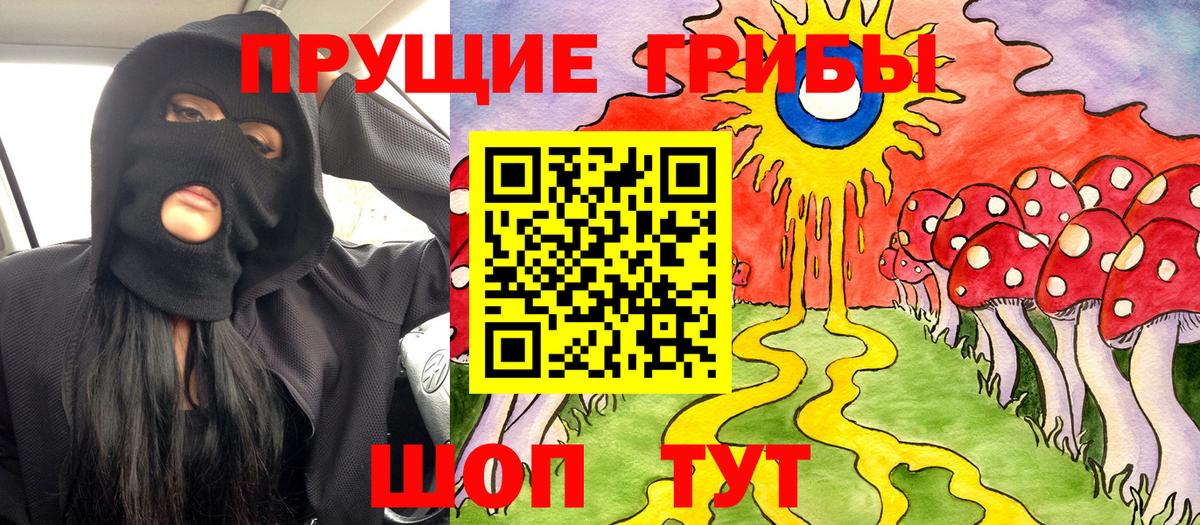 Приморско-Ахтарск  закладка  Вход с VPN  Галлюциногенные грибы Psilocybe 